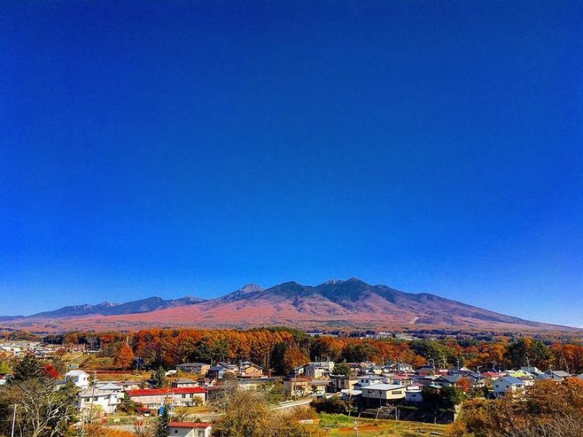 富士見町にUターンしたWEBディレクター　自然と農がある日常　～秋～